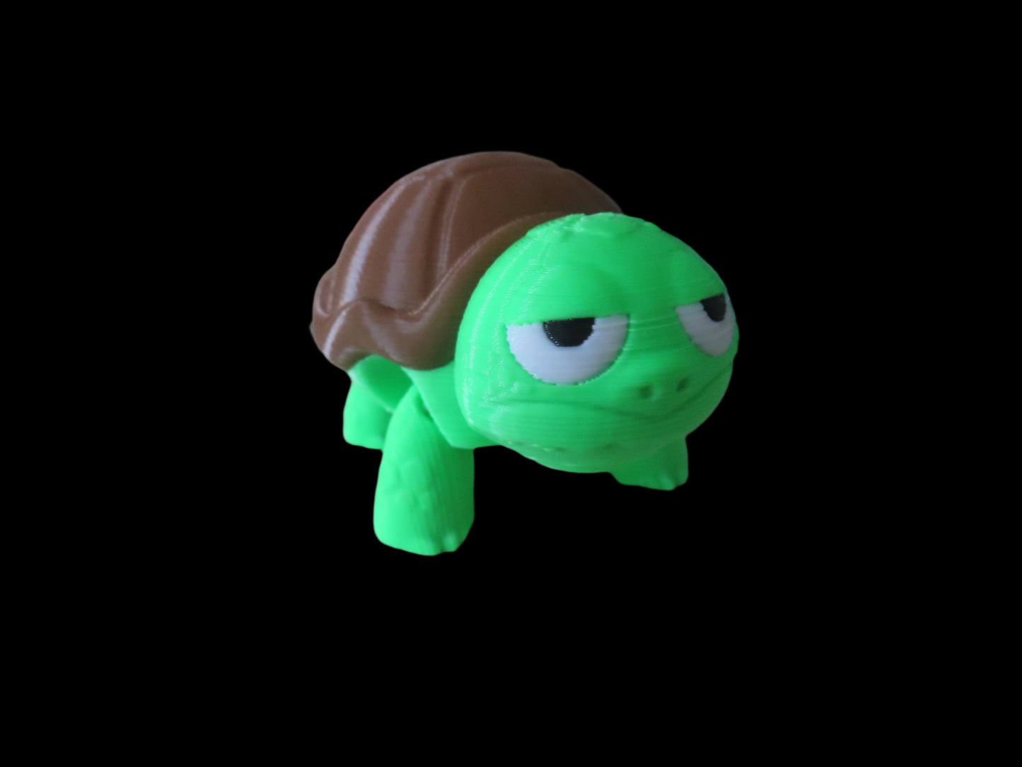 surprised or grumpy turtle