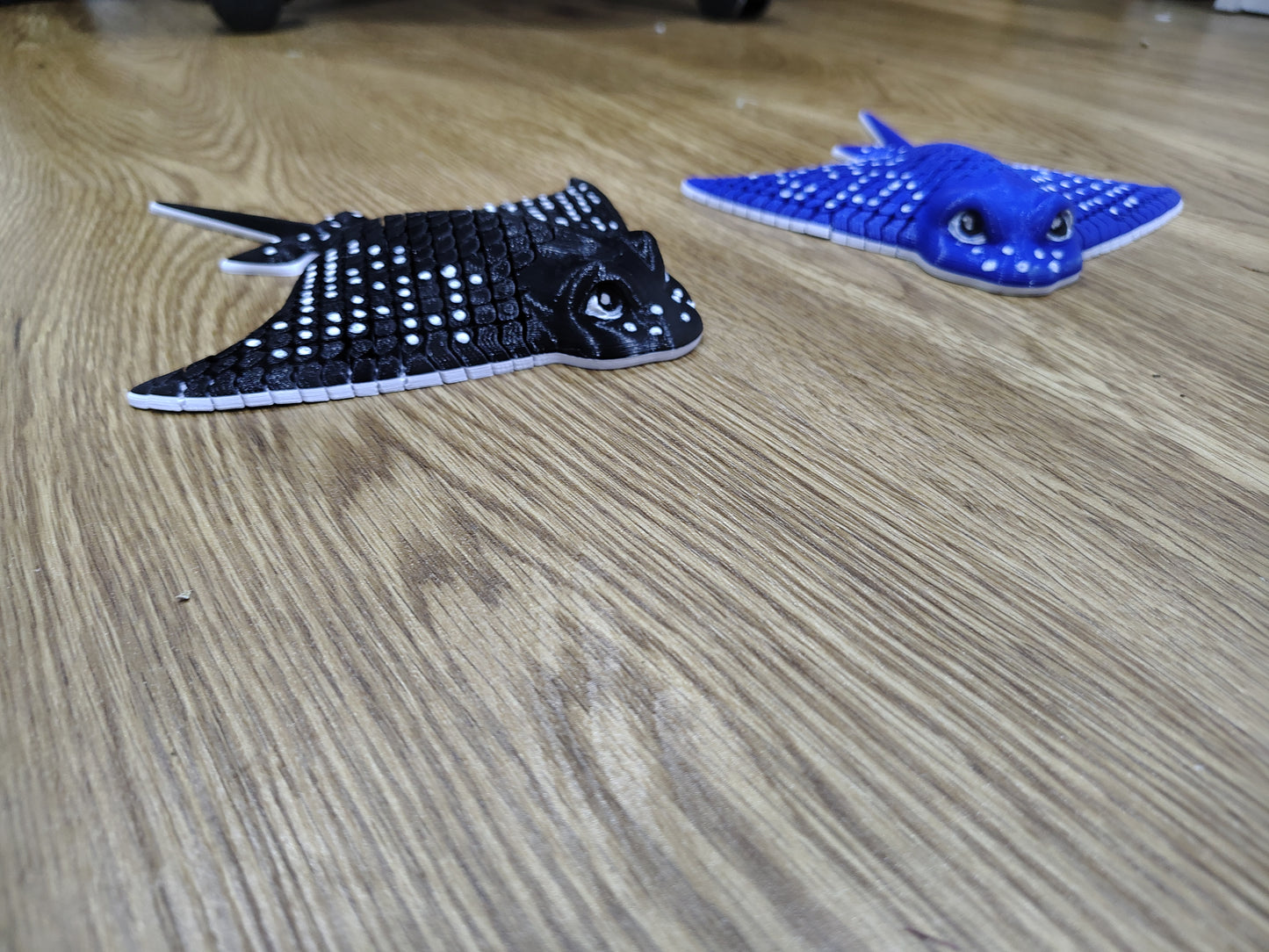 Igor the Ray - Flexi