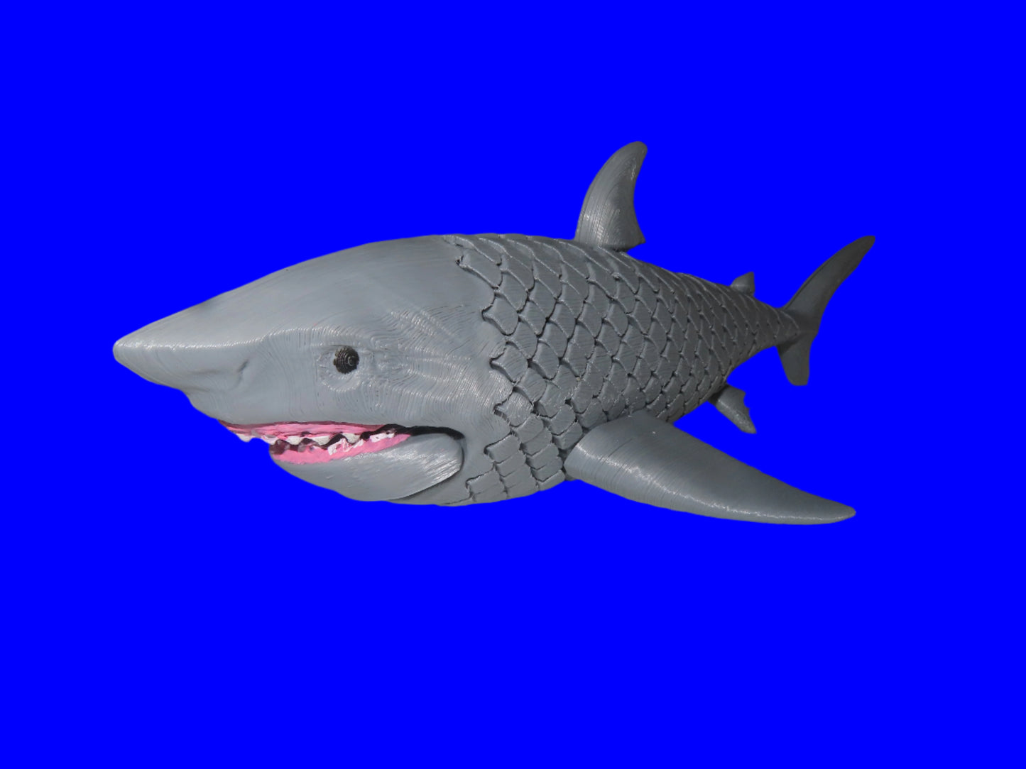 Jawsome 3D-Printed Shark