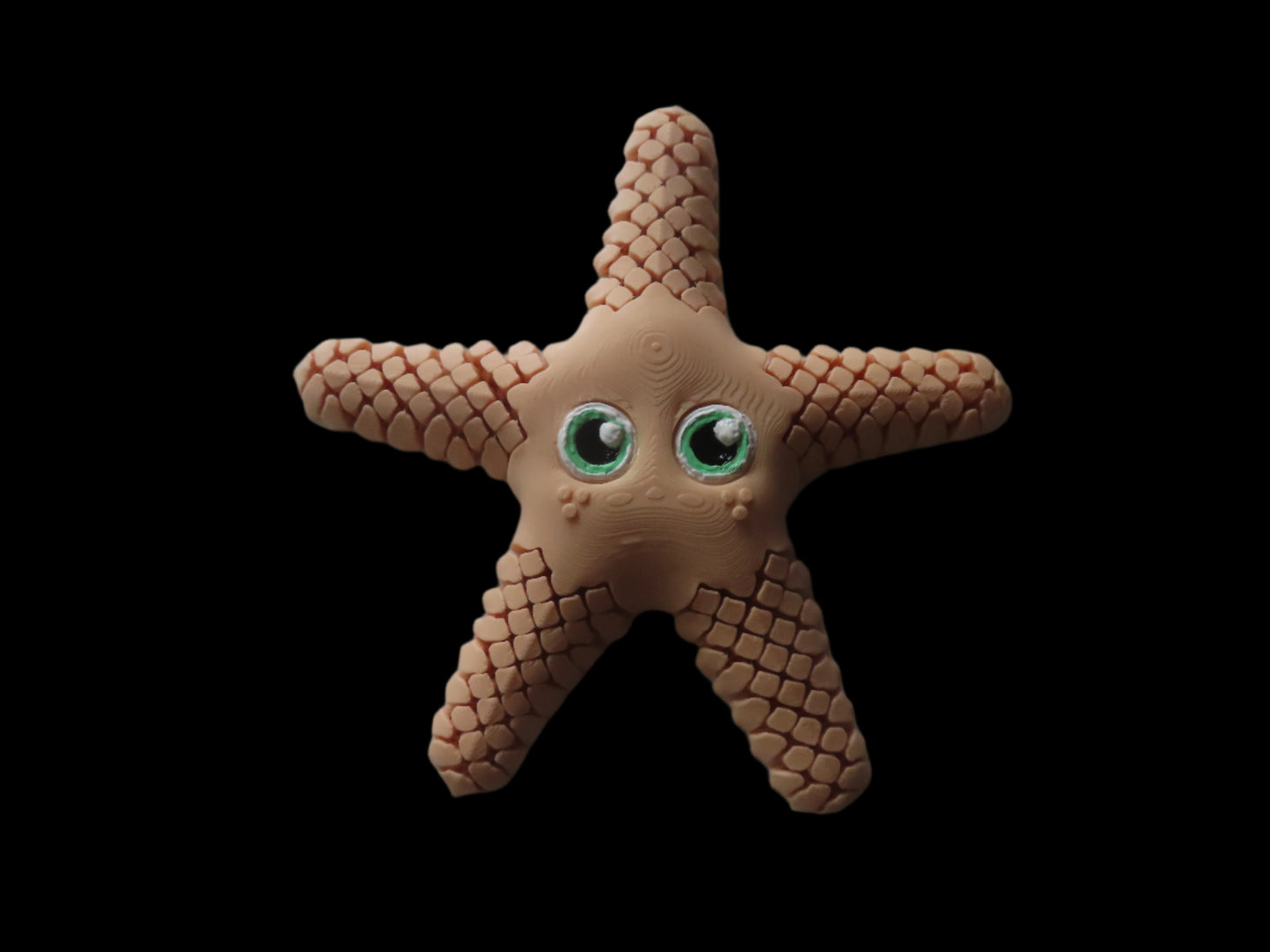 Sandy the SeaStar