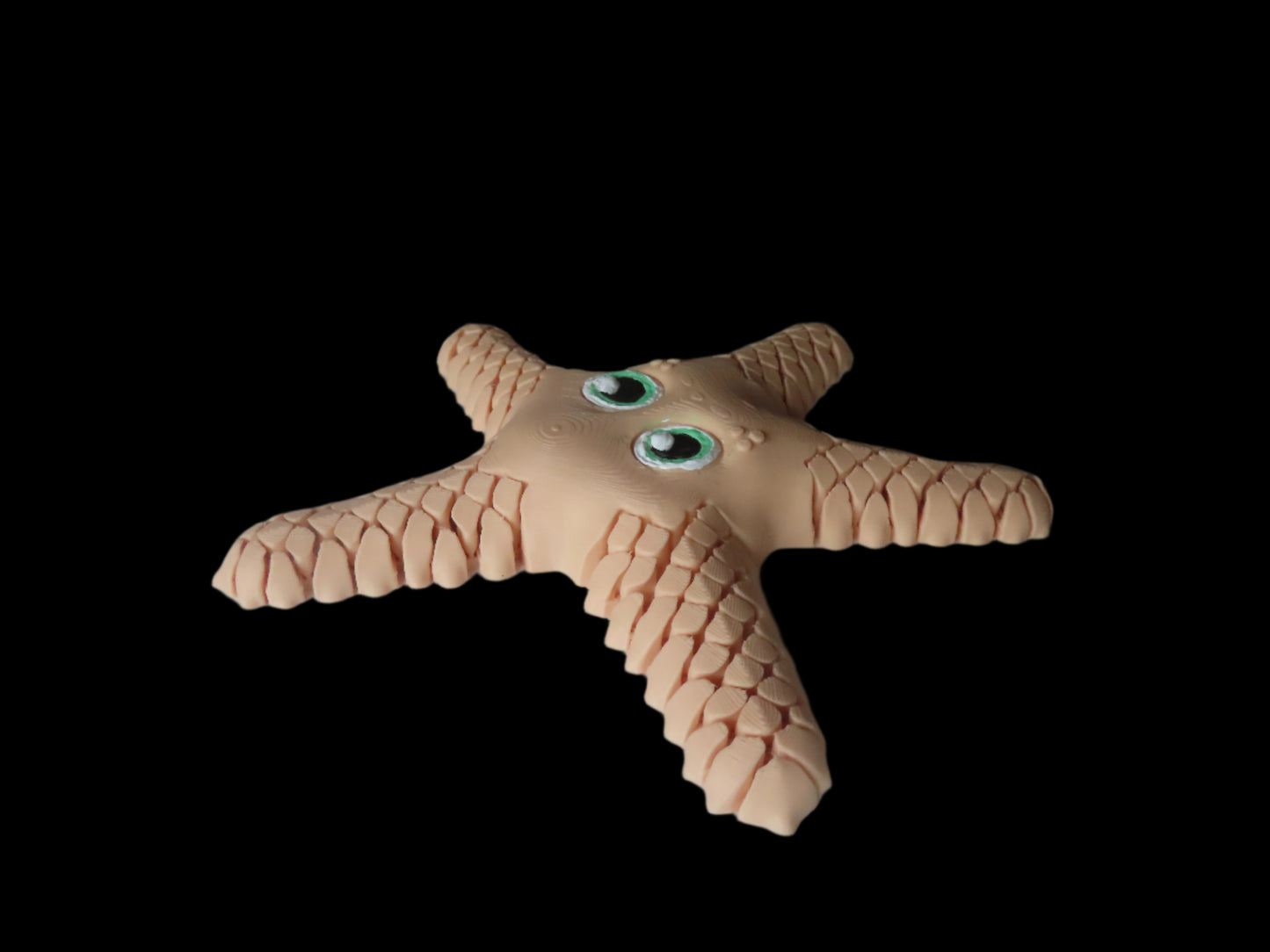Sandy the SeaStar