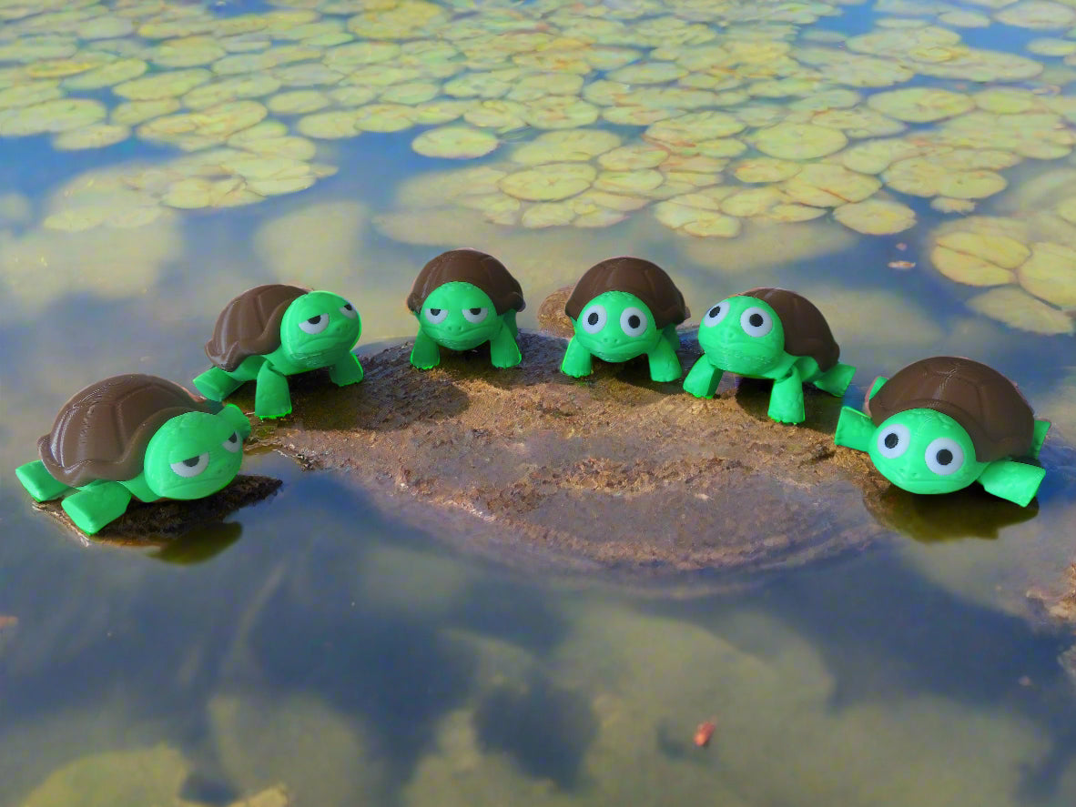 surprised or grumpy turtle