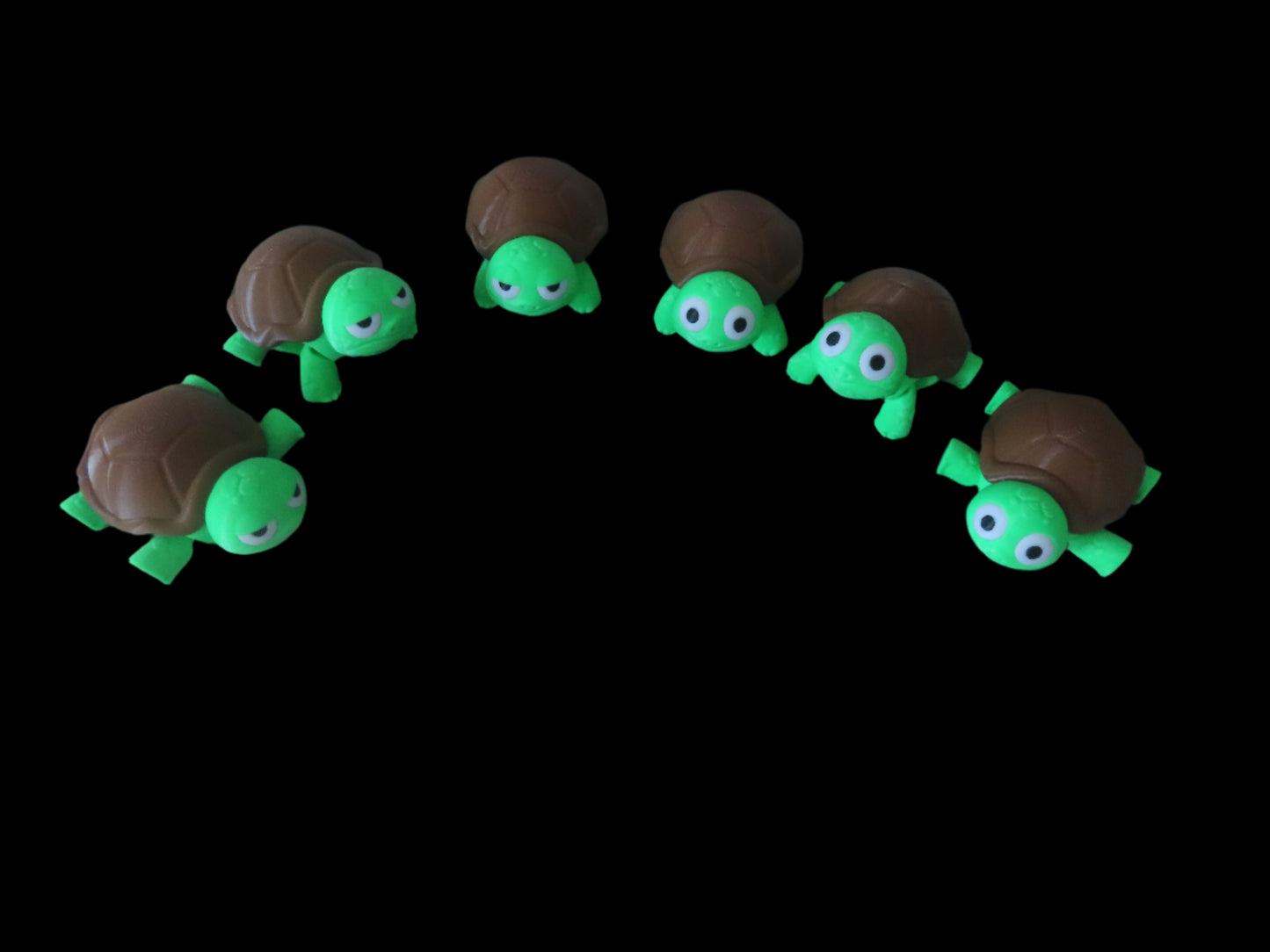 surprised or grumpy turtle