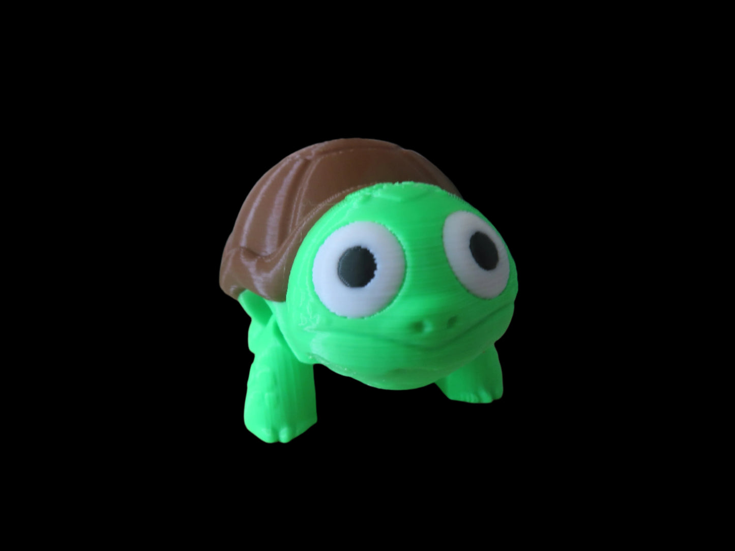 surprised or grumpy turtle