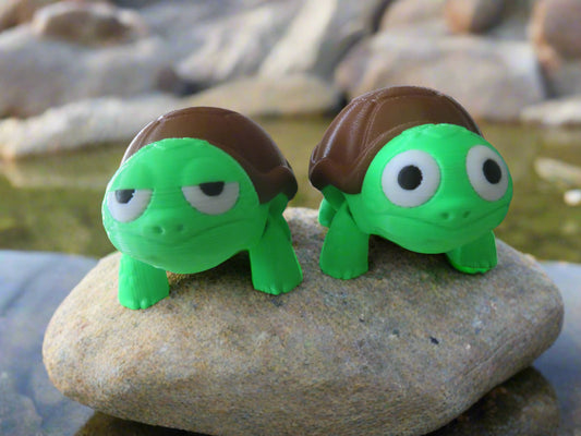 surprised or grumpy turtle